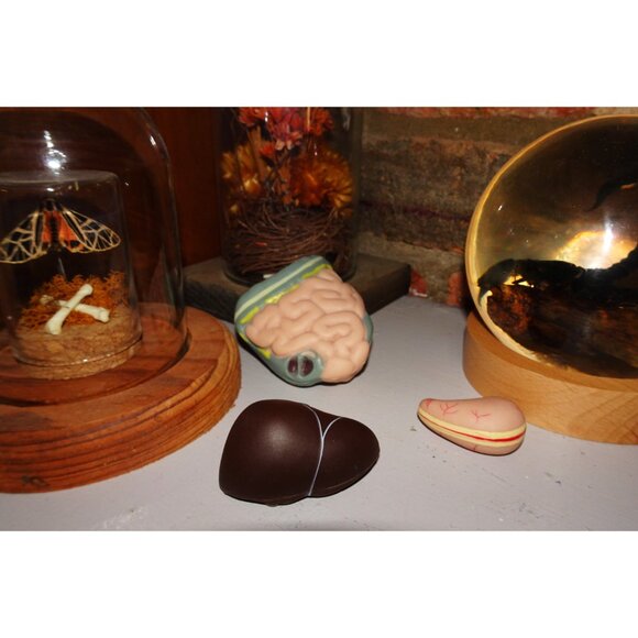 Vintage Plastic Human Organ Miniatures liver kidney intestines oddity curiosity - Picture 5 of 10